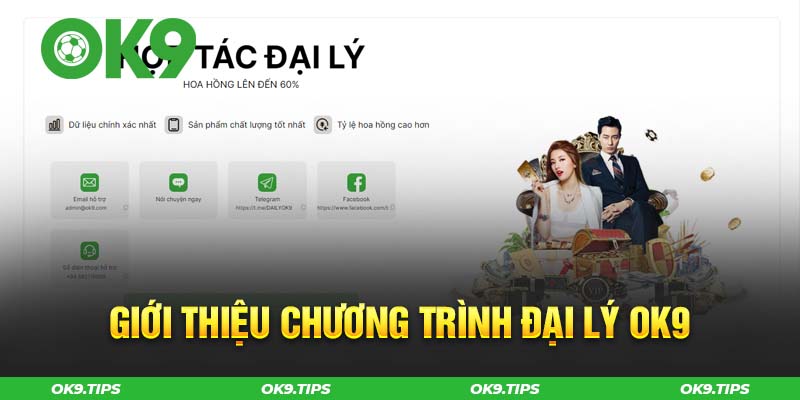 Giới thiệu chi tiết về đại lý OK9