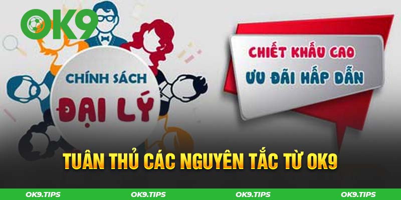 Tuân thủ nguyên tắc được chú ý