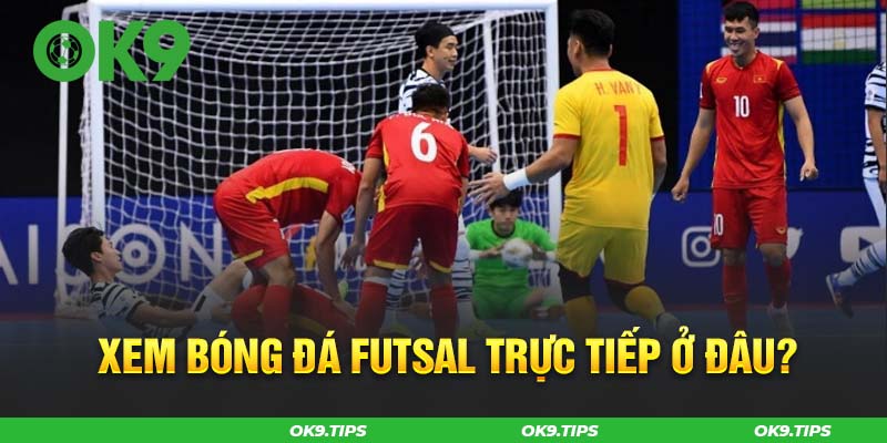 Xem Bóng Đá Futsal Trực Tiếp Ở Đâu? Link Xem Siêu Mượt