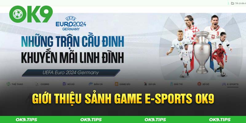 Sảnh E-Sports OK9: Trải Nghiệm Game Đỉnh Cao, Kết Nối Đam Mê