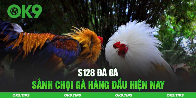 S128 Đá Gà - Trang Đưa Tin Trực Tiếp Về Chọi Kê Hàng Đầu Hiện Nay