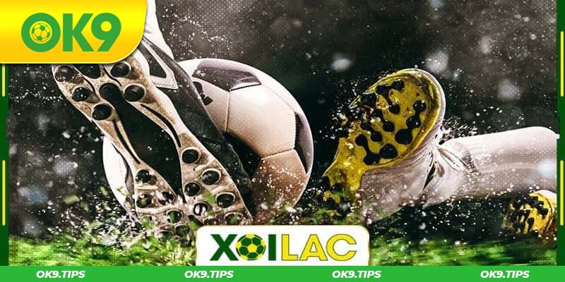 Đôi nét giới thiệu chung về website Xoilac TV